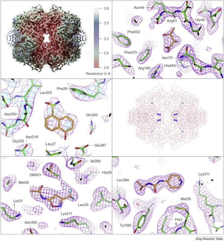 Fragment based drug discovery of small molecule fragments against β-galactosidase and the oncology drug target PKM2 Fragment based drug discovery of small molecule fragments against β-galactosidase and the oncology drug target PKM2