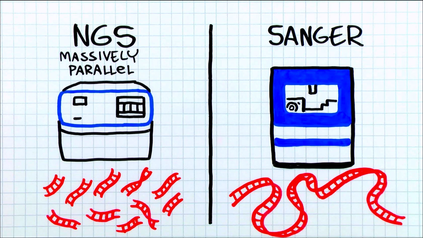 When Do I Use Sanger Sequencing Vs Ngs Behind The Bench