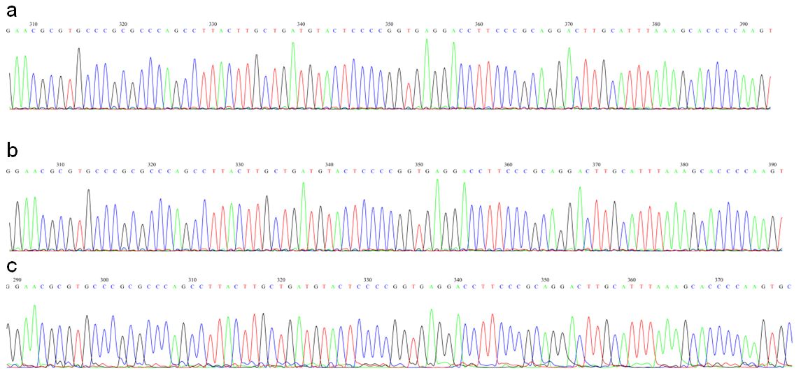 Guide to Sanger Sequencing by Capillary Electrophoresis From Education