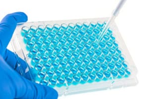 Adding or removing samples from a 96 well plate with a pipette.