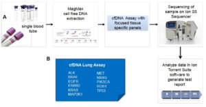 cfdna workflow