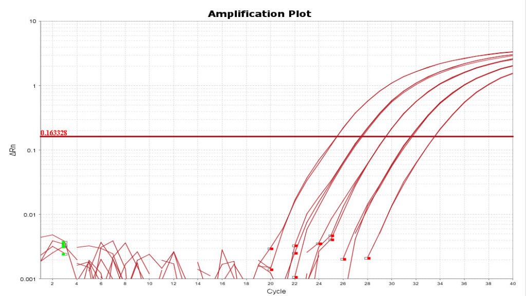 Amp plots for blog
