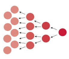 sho-cell-proliferation-s007844