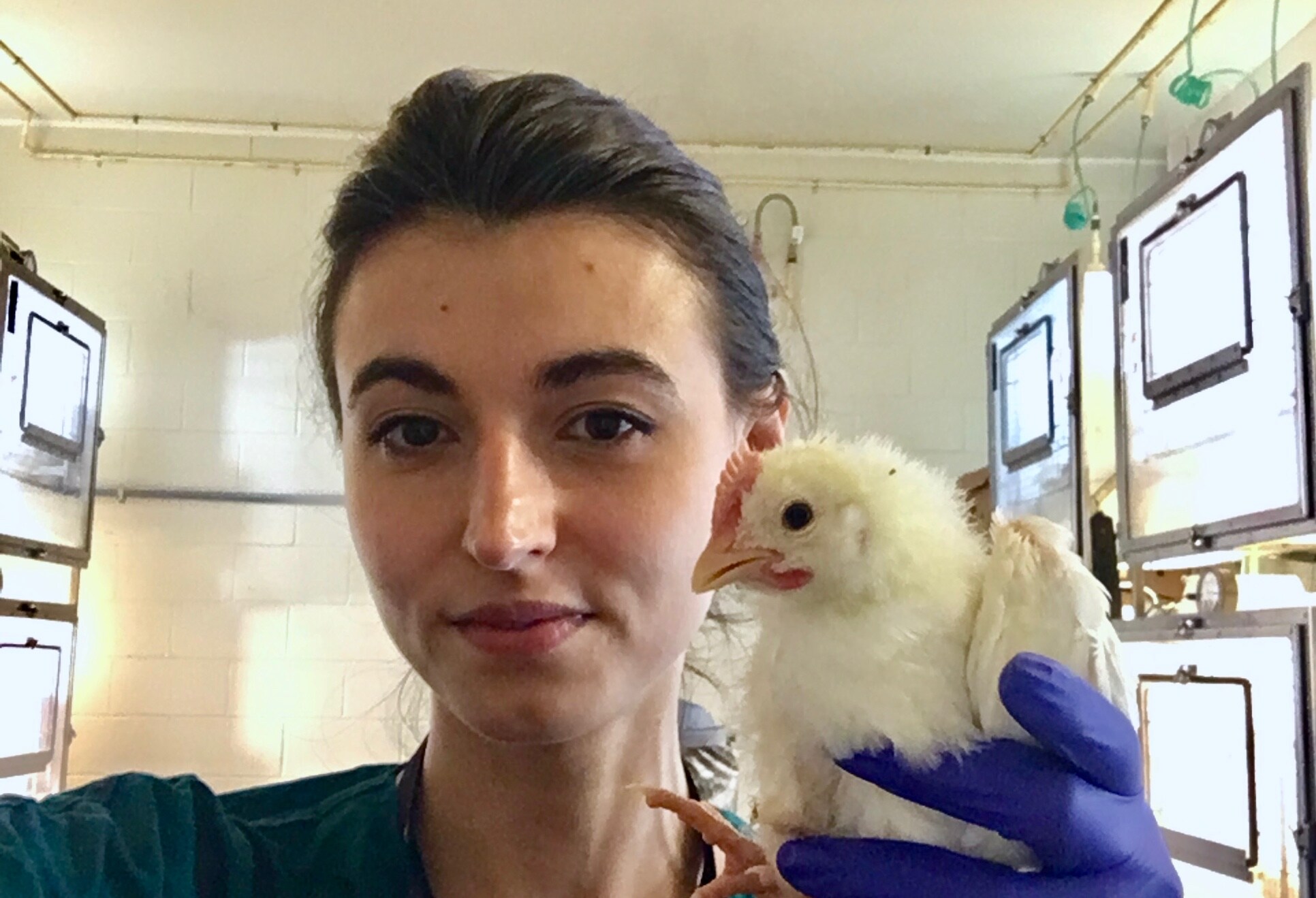 Iryna Goraichuk and a chick