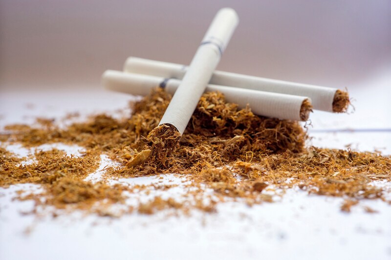Cigarettes sit in a mound of tobacco, representing the potential link between smoking and SARS-CoV-2 infection