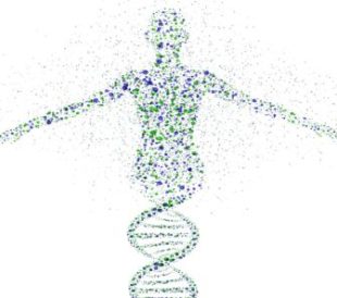 NGS for Human Microbiome Research