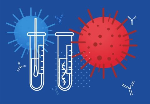 Targeted Ngs Or Serology For Sars Cov 2 Epidemiology Research