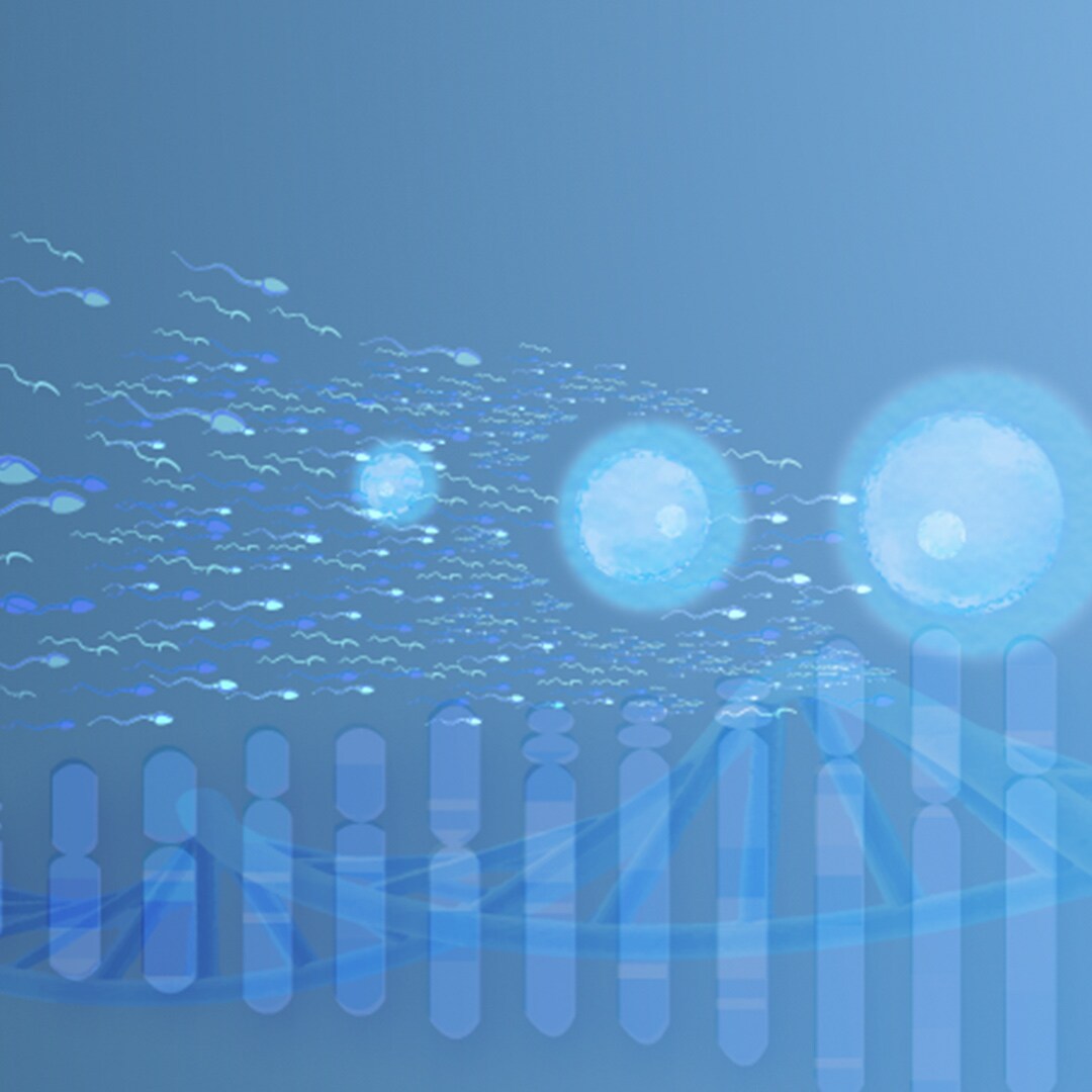 Reproductive health applications using next-generation sequencing