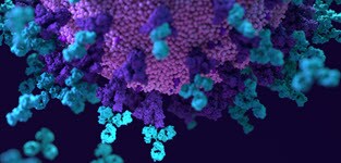 miRNA and SARS-CoV-2 pathogenesis