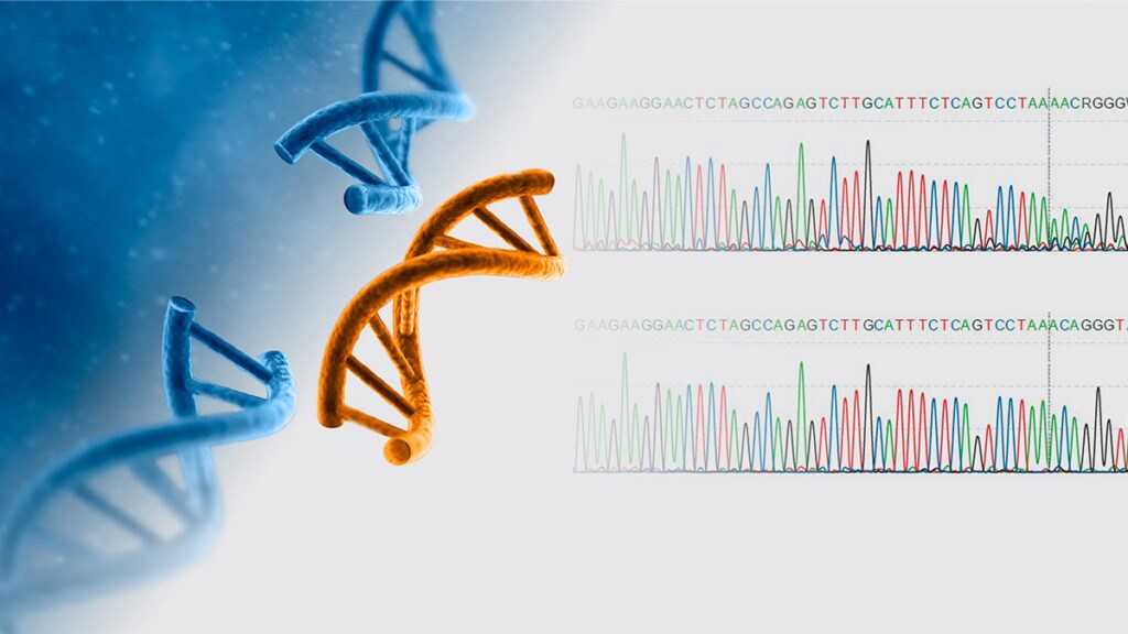 gene editing dna