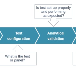 A graphic walks readers through the steps of developing an LDT