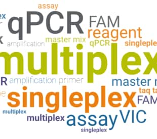 word cloud of multiplex and singleplex related terms
