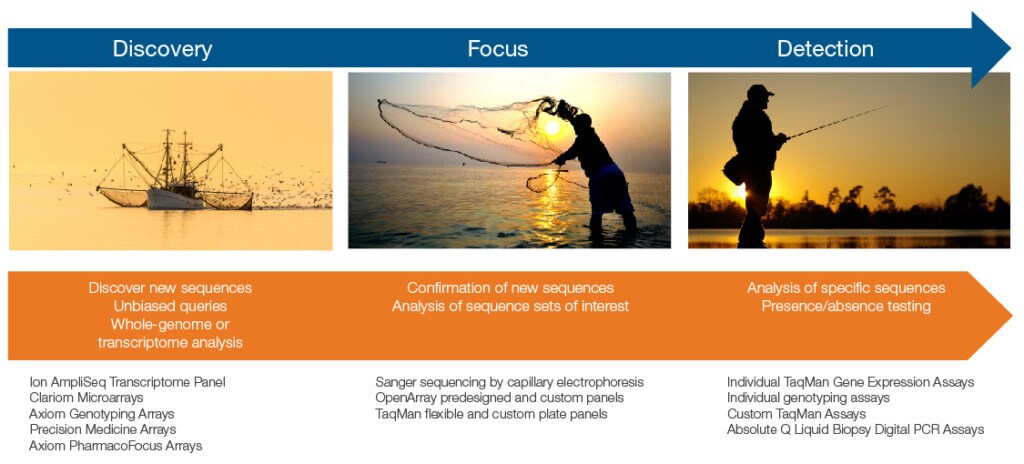 Genetic analysis applications 3 steps 1 Discovery 2 Focus 3 Detection