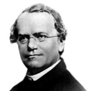 Photograph of Gregor Johann Mendel