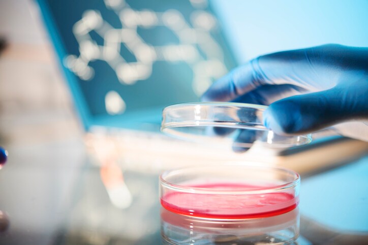 cell culture analysis