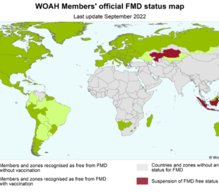 Map of the world showing FMD status by country; notably Kazakhstan and Indonesia have had their FMD free status suspended