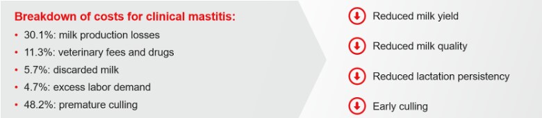 The costs of mastitis, resulting in a reduced milk yield and quality, reduced lactation persistency, and early culling.