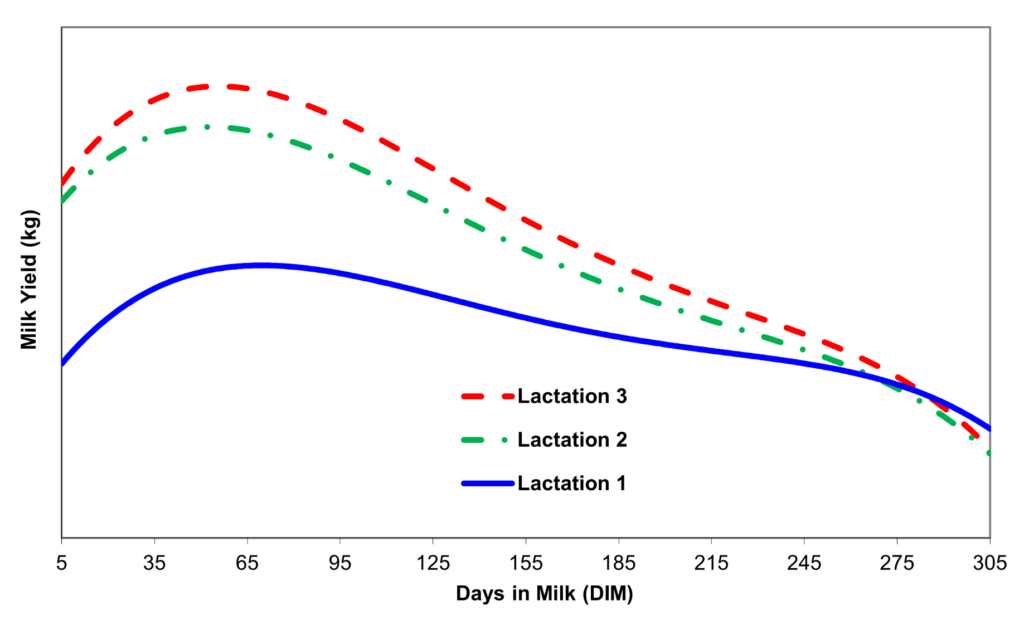 A chart showing an increase in profits from higher lactation persistency.