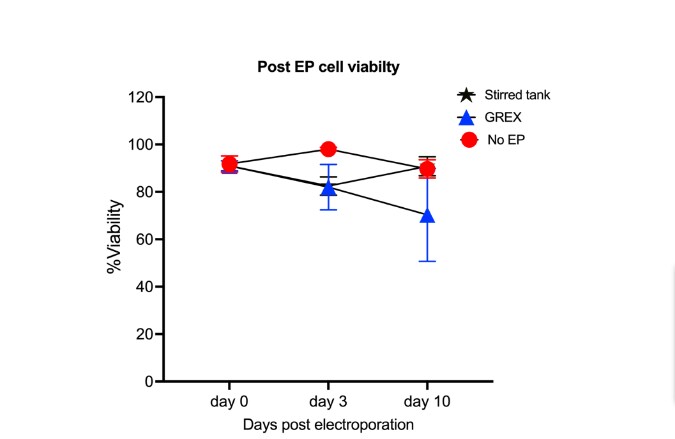 Cell viability post-electroporation