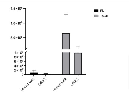 Total number of effector memory and naïve central memory T cells on day 10 post-electroporation
