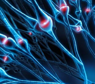 Illustration of active nerve cell synapses showing neural connections, related to cryopreservation research.