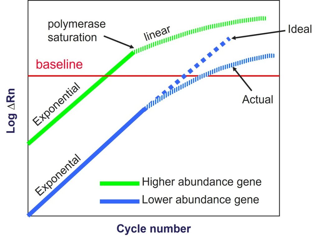 Diagram comparing singleplex and multiplex qPCR, showing multiple fluorescent dye channels detecting several targets in a single reaction.