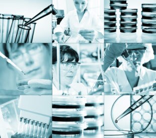 Work in a laboratory. Image: Science photo/Shutterstock.com