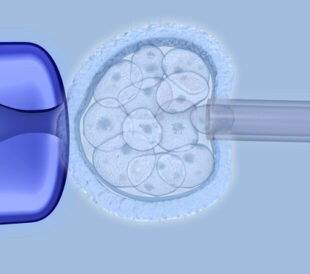 Extraction of embryonic stem cells. Image: Juan Gaertner/Shutterstock.com
