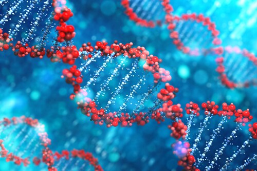 DNA. Image: Leigh Prather/Shutterstock.com
