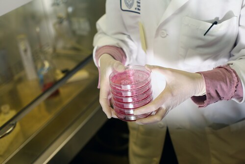 Tissue sample. Image: emin kuliyev/Shutterstock.com