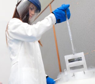 Scientist working with samples cryopreserved in liquid nitrogen.