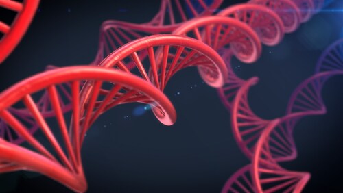 Abstract DNA. Image: elsar/Shutterstock.com