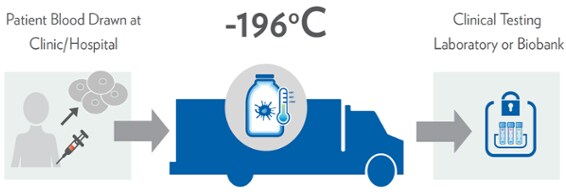 transporting cells