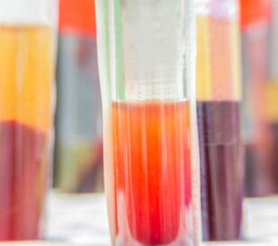 Test tubes with separated serum and blood. Image: Pongsak A/Shutterstock.com