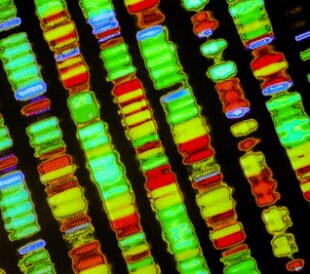 DNA sequence. Image: Gio.tto/Shutterstock.com