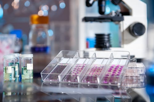 Plastic tray of histological tissue samples next to a microscope. Image: anyaivanova/Shutterstock.com.