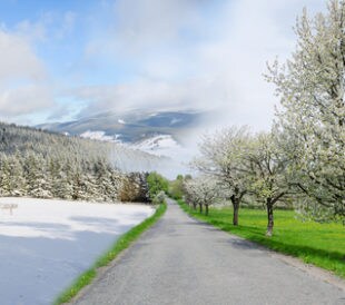 Winter and summer changing season, weather concept with road. Image: Michal Bellan/Shutterstock.com.