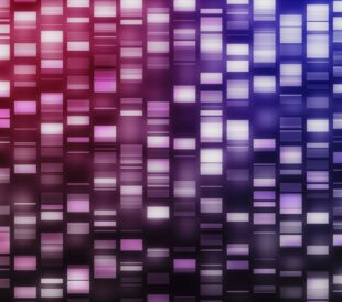 Pink and purple DNA strands on black background. Image: ESB Professional/Shutterstock.com.