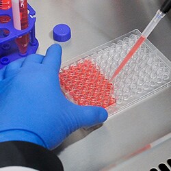 hypoxia_bacteria_assay_reagents_cell_viability_apoptosis_evaporation_edge