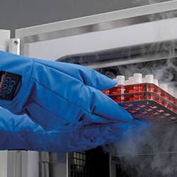 Cryopreservation_Liquid_Nitrogen_Cryo_Storage_Cryogenic_Cryopreserve_Cryobank_SAL