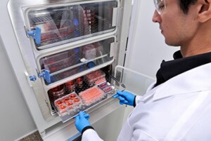 cell-based assay research scientist