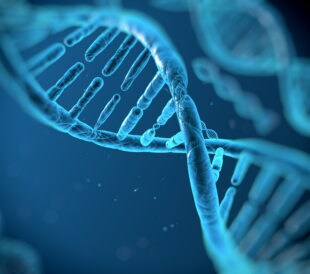 Digital illustration of a DNA strand