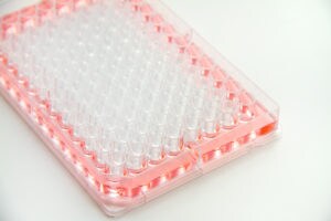 cell culture, cell-based assays, 96 well plate, edge effect