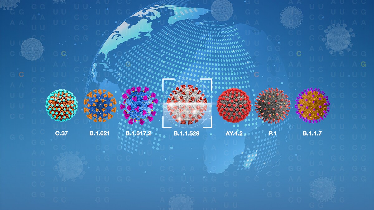 Graphic image of 7 variants