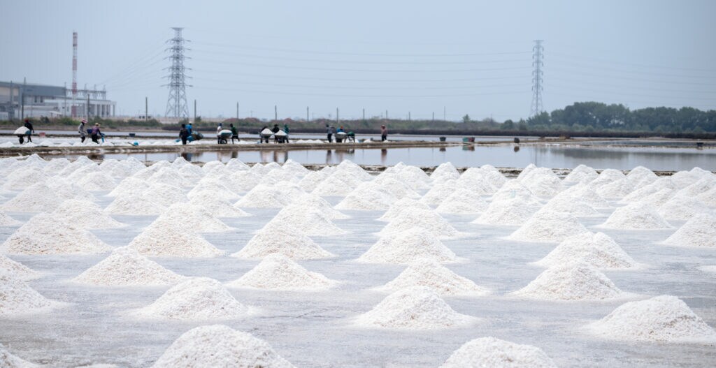 Sea salt farm