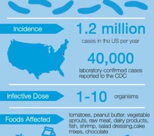 Salmonella Fact Sheet Infographic