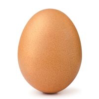 chicken egg