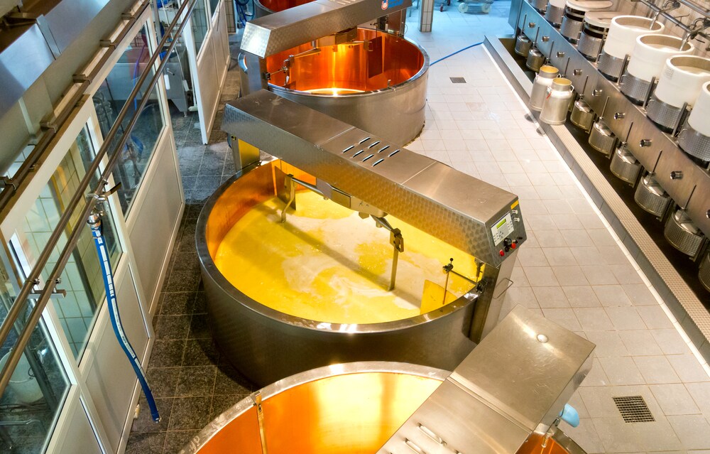 The inside of a modern cheese factory