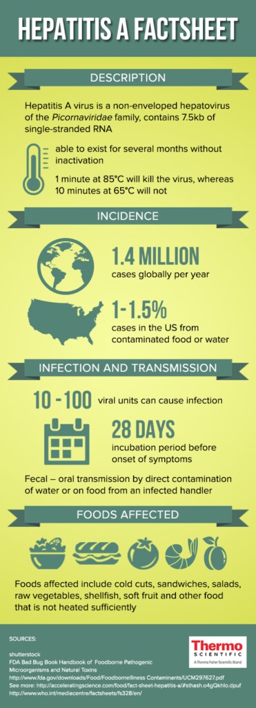 Hepatitis A Infographic