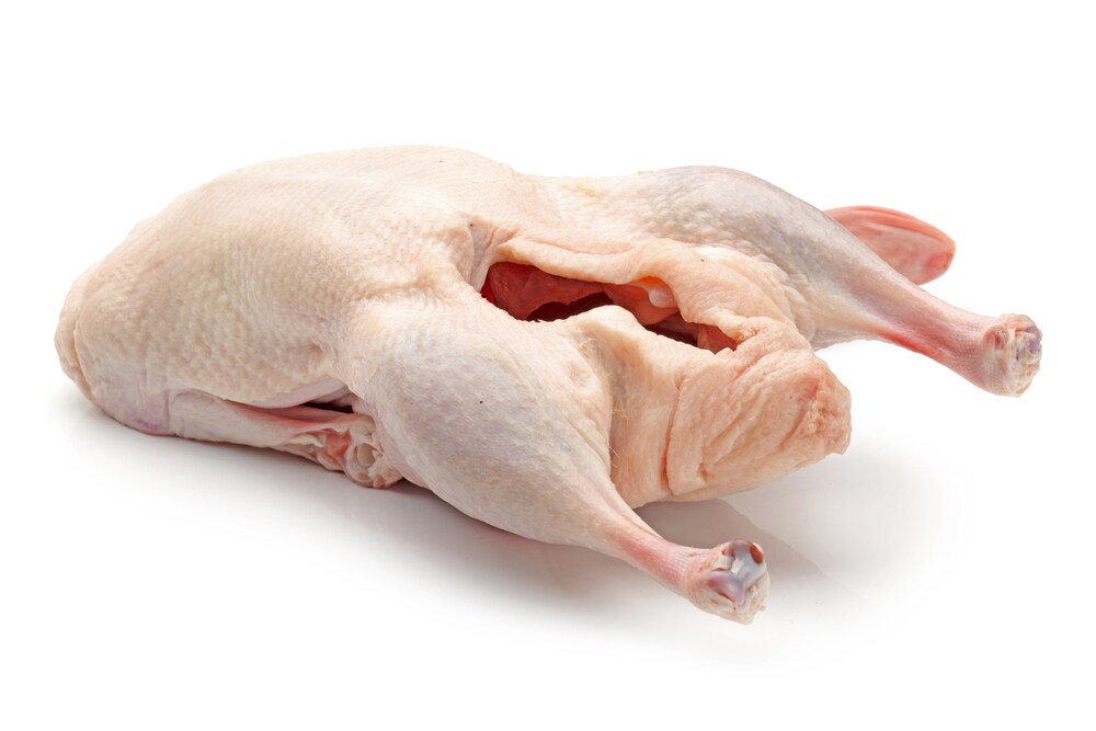 Raw duck isolated on a white background